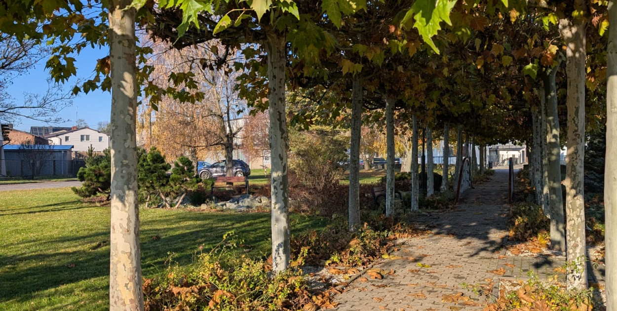 Skwer przy ul. Młyńskiej w Świerklańcu. Fot. Elżbieta Kulińska