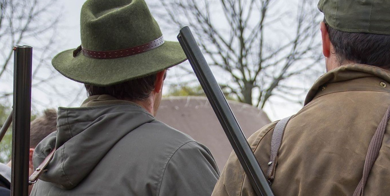 Koło Łowieckie "Orzeł" Tarnowskie Góry organizuje polowanie zbiorowe. Zdjęcie poglądowe. Fot. Pixabay