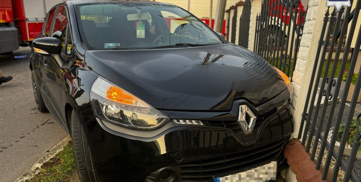 Zdarzenia w Wieszowie i Orzechu. Zdjęcia: OSP Wieszowa, policja Tarnowskir Góry