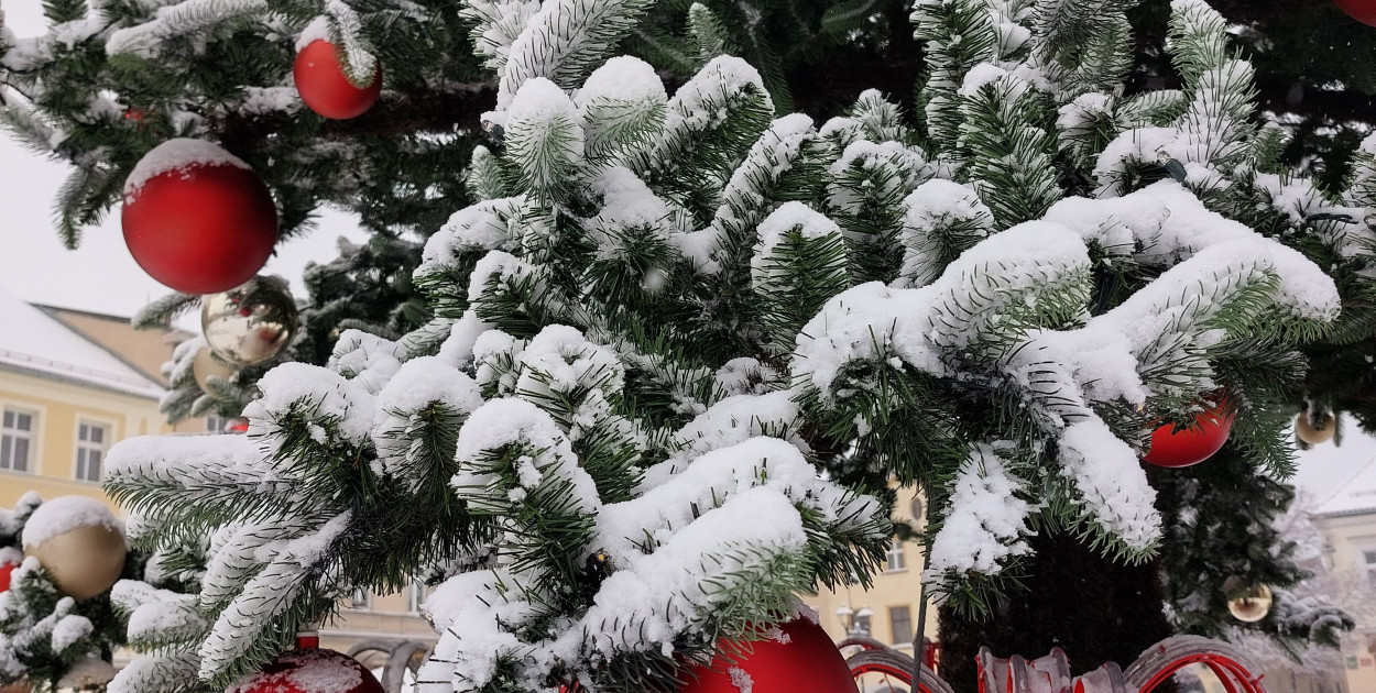 Fot. Agnieszka Reczkin