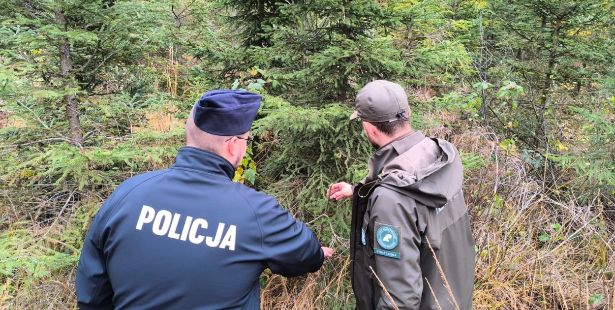 Zdjęcia z archiwum policji i Gwarka