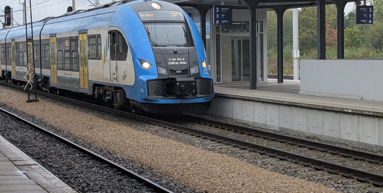 Fot. Elżbieta Kulińska