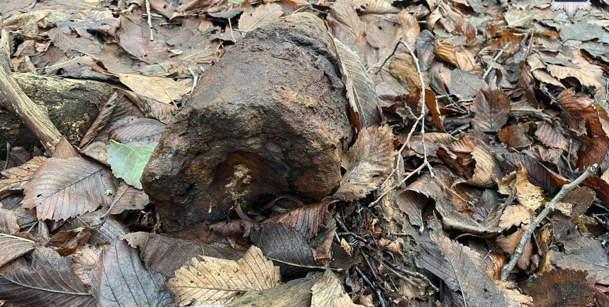 Zdjęcia: archiwum policji