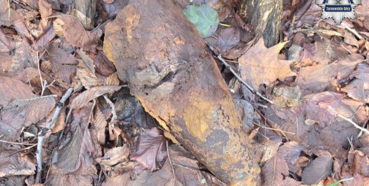 Zdjęcia: archiwum policji