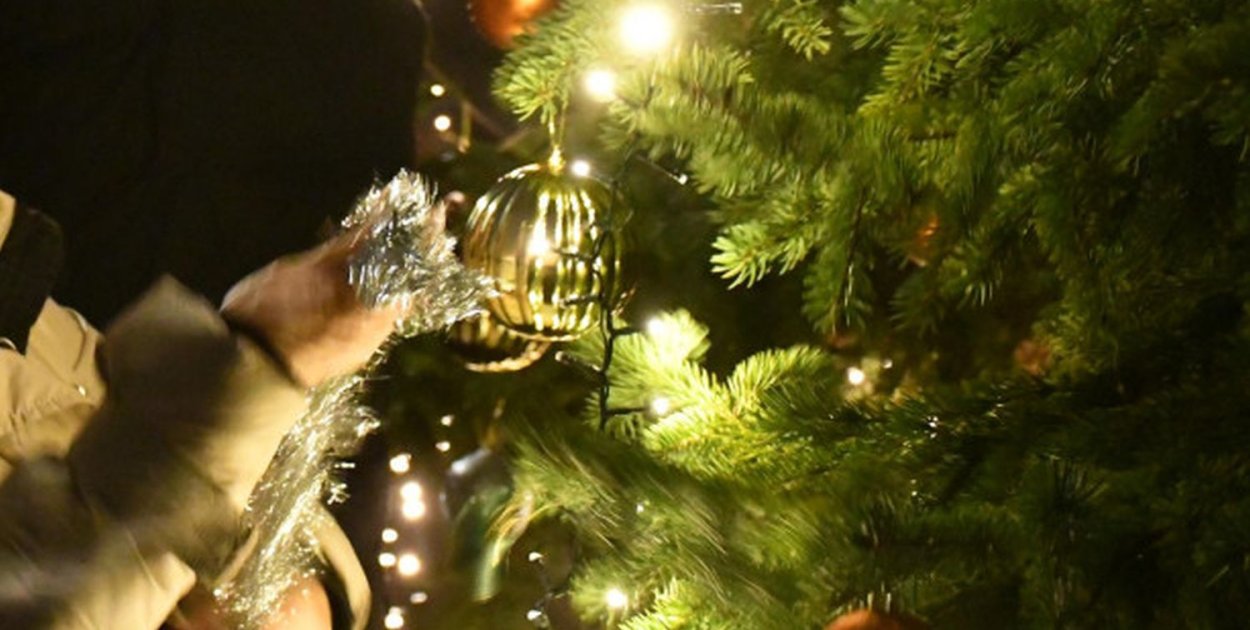 Zdjęcie ilustracyjne, fot. Rafał Biczysko