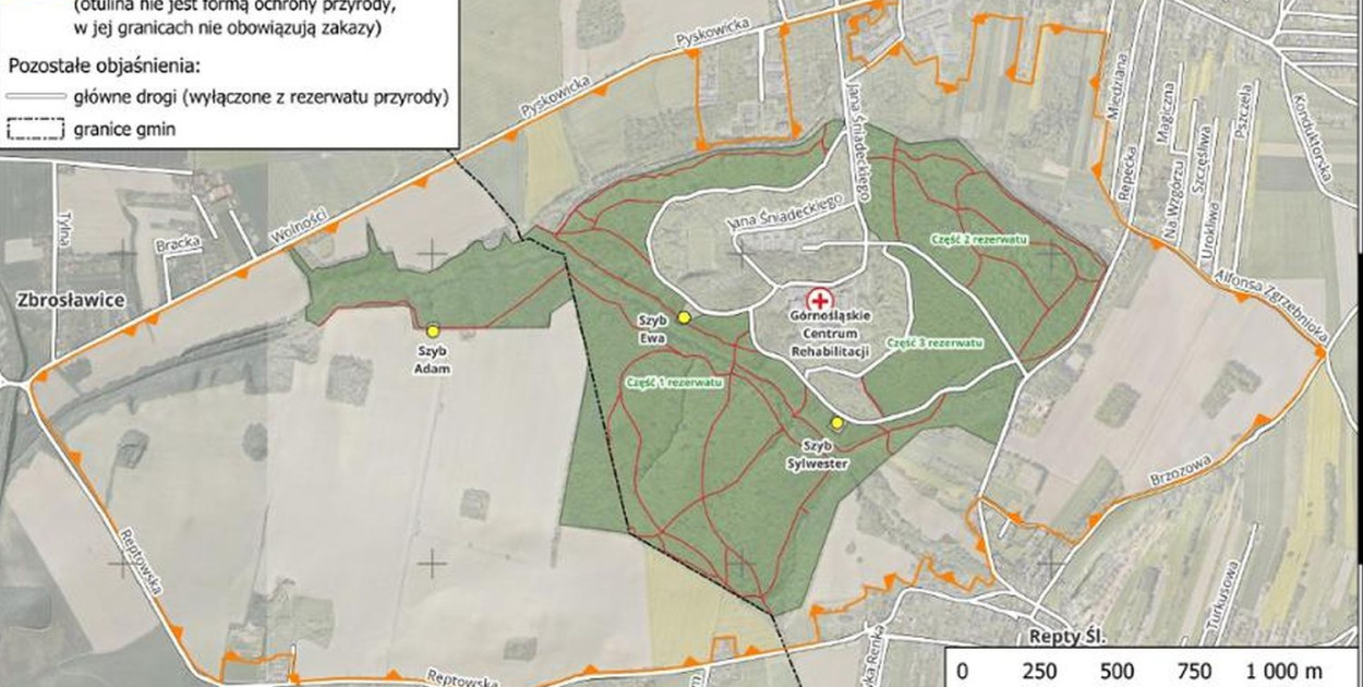 Sprawa utworzenia rezerwatu wzbudza duże kontrowersje. Fot. Jarosław Myśliwski/archiwum RDOŚ