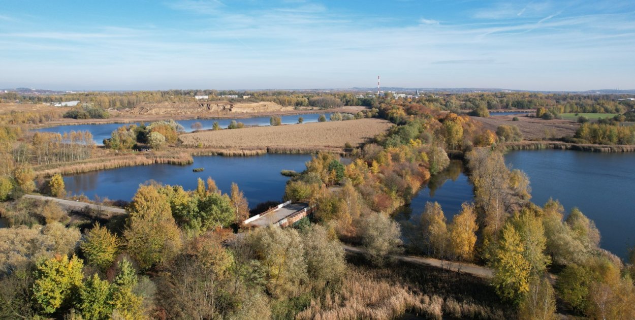 Zdjęcia: UM Bytom/A. Janocha