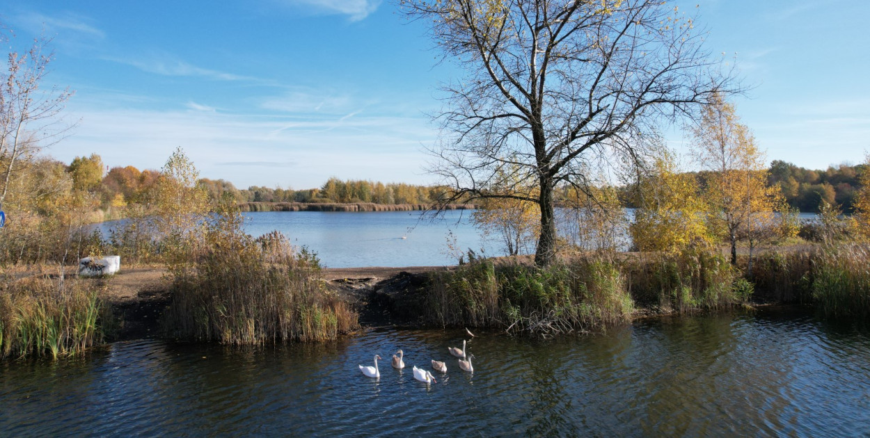 Zdjęcia: UM Bytom/A. Janocha