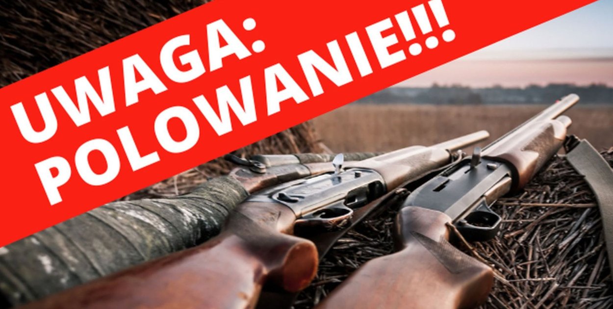 Burmistrz Tarnowskich Gór poinformował o organizacji polowań zbiorowych. Fot. UM Tarnowskie Góry