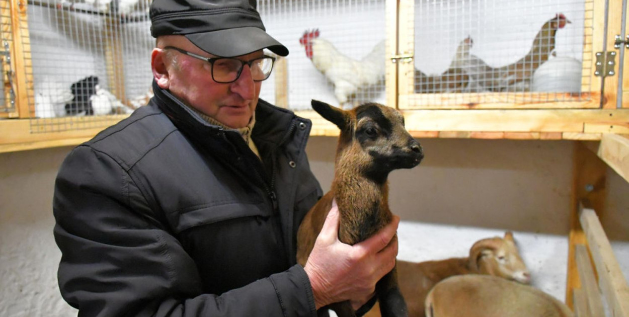 Stajenka w Strzybnicy. Fot. Rafał Biczysko