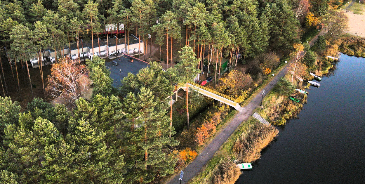 Nawet 300 tys. zł na rozwój firmy. Leśna Kraina Górnego Śląska zapowiada...