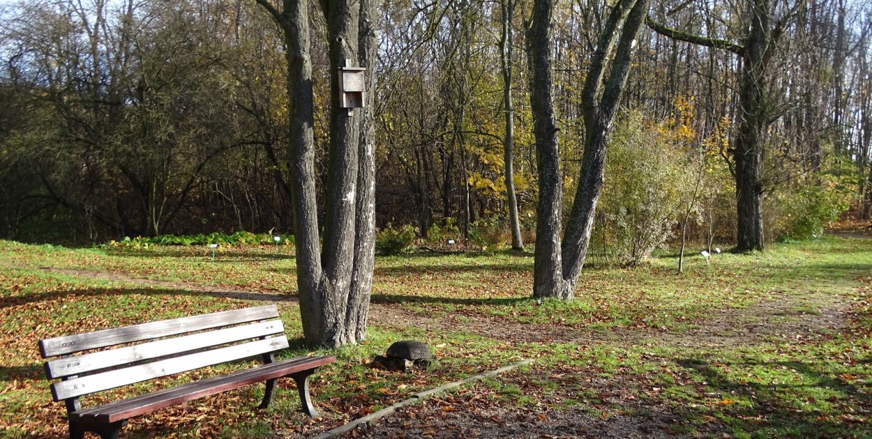 Radzionków. Tam już z psem nie wejdziecie