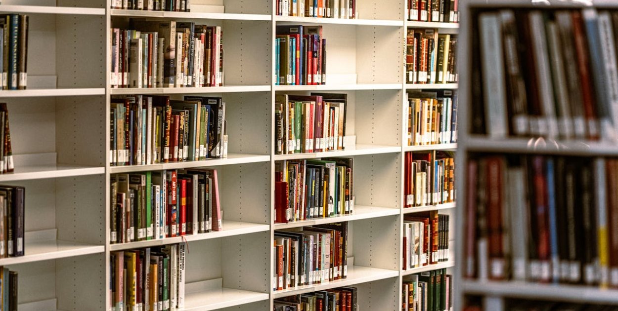 Porządki po przeprowadzce – jak szybko sprzedać książki i odzyskać część pieniędzy