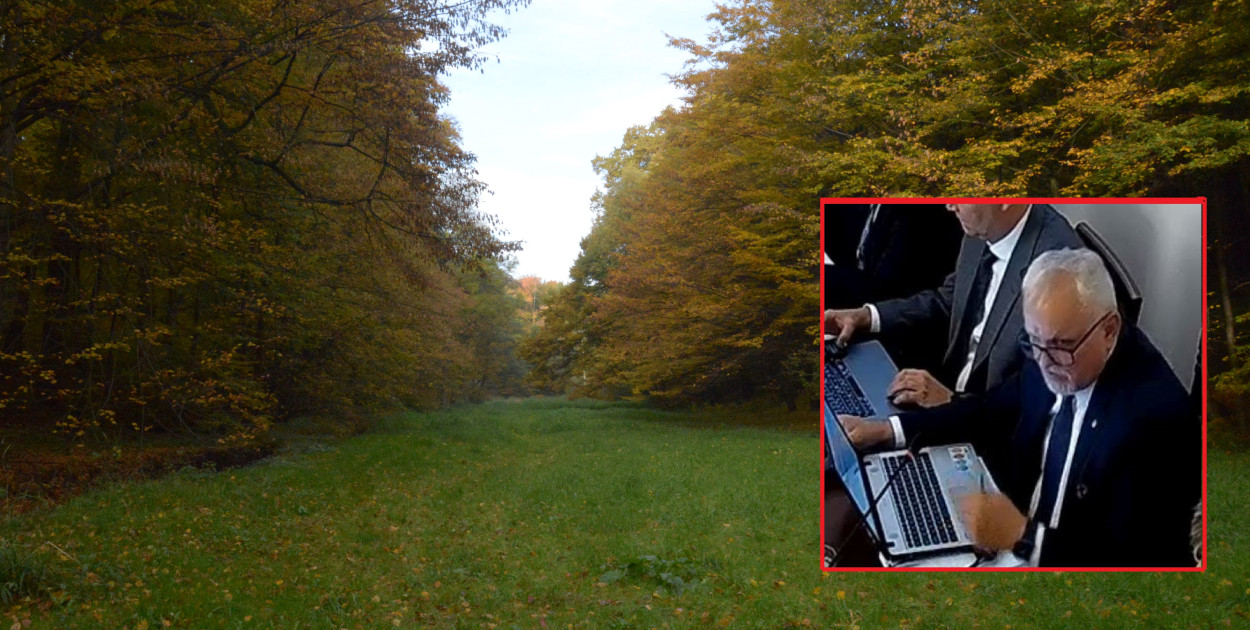 Poparcie dla rezerwatu Park Repecki. Burmistrz zapowiedział miejskie...