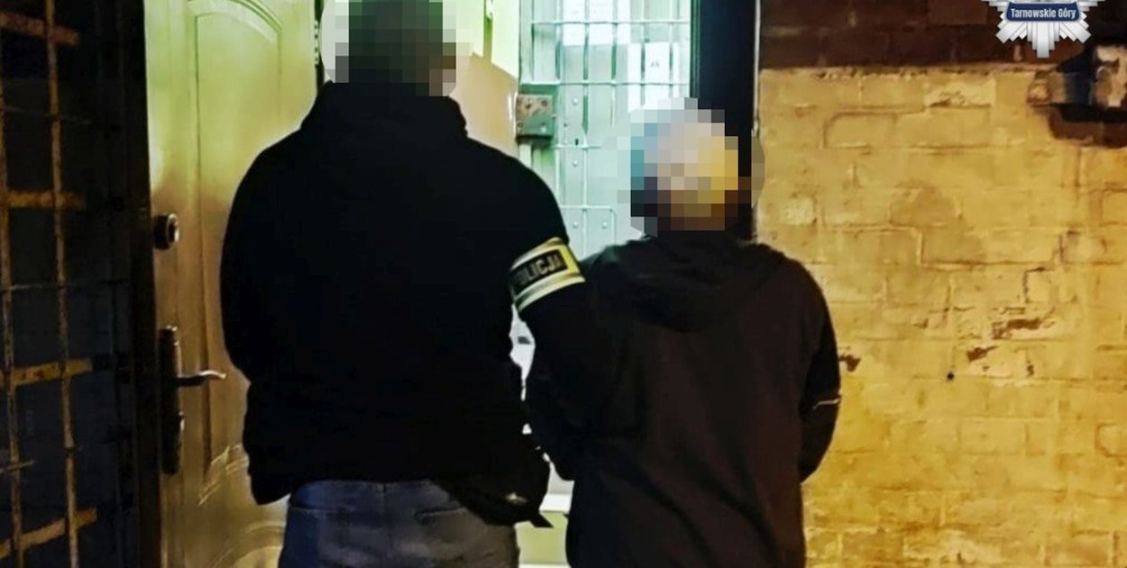 Tarnowskie Góry. Zatrzymanie przy Pyskowickiej. Policjanci odkryli coś jeszcze