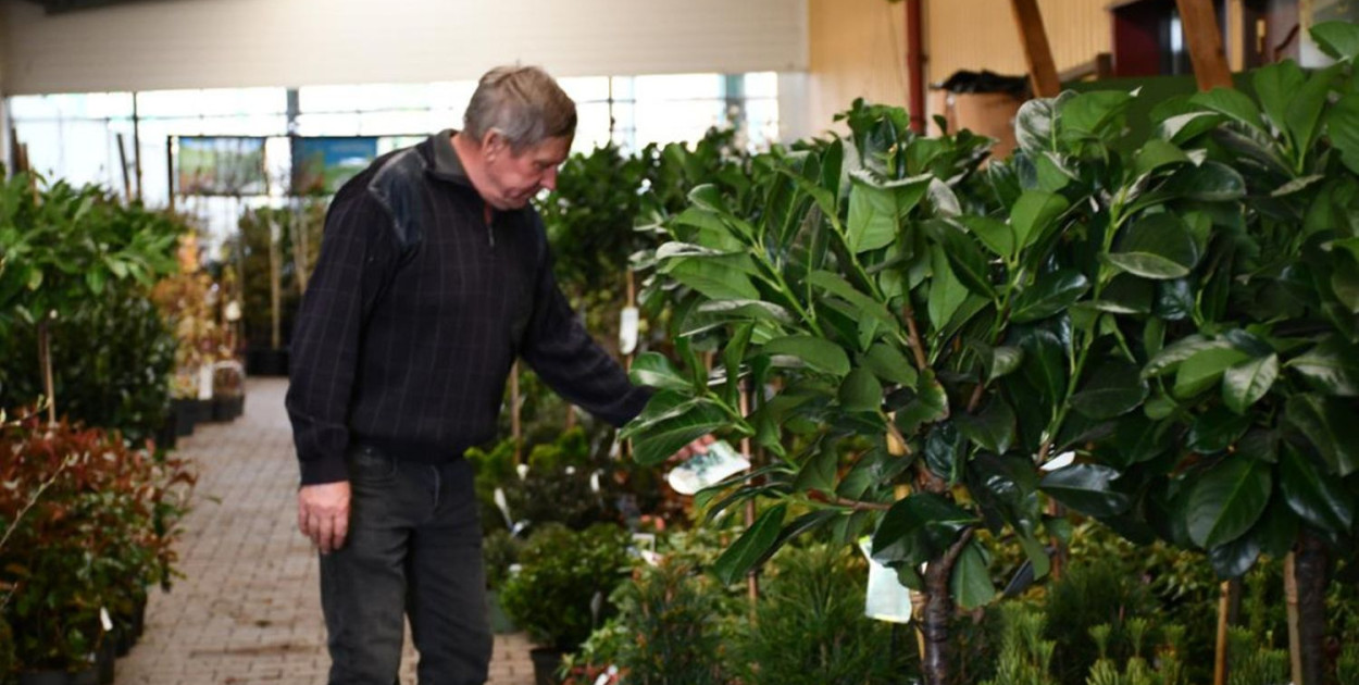 Kupione u Żurka, nowy dyrektor, budowa schronu. Podsumowanie