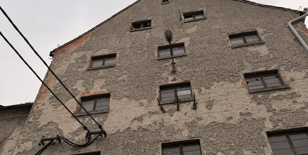 Siedział na parapecie i nie potrafił zejść. Interweniowali strażacy