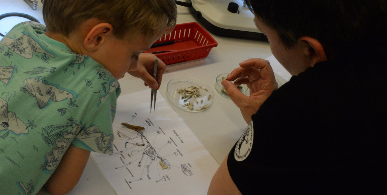 Nawet 10 tys. zł na lokalne inicjatywy ekologiczne