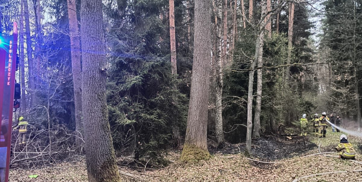 Pożar lasu, pijany kierowca w centrum Tarnowskich Gór. Kronika