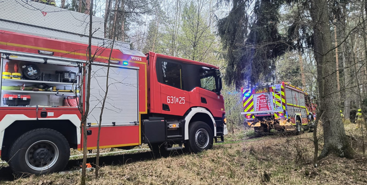 Pożar lasu, pijany kierowca w centrum Tarnowskich Gór. Kronika