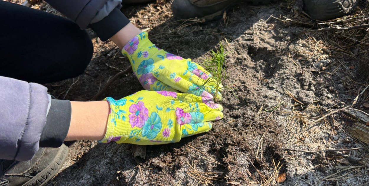Posadź las z leśnikiem. Zgłoszenia tylko do czwartku