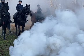 Policja konna w Tarnowskich Górach