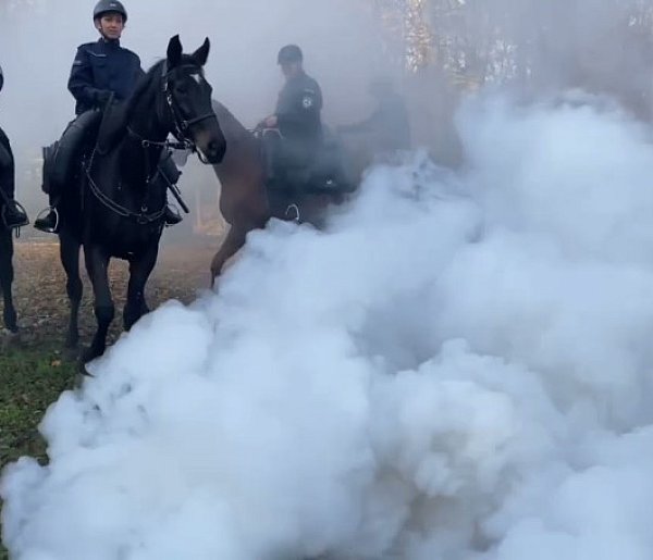 Policja konna w parku Miejskim w Tarnowskich Górach