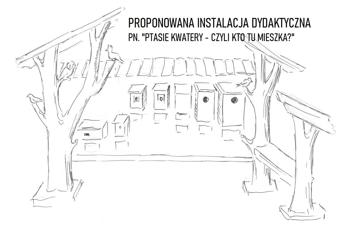 Ptakom ma zostać poświęcony przystanek dydaktyczny Ptasie kwatery – czyli kto tu mieszka