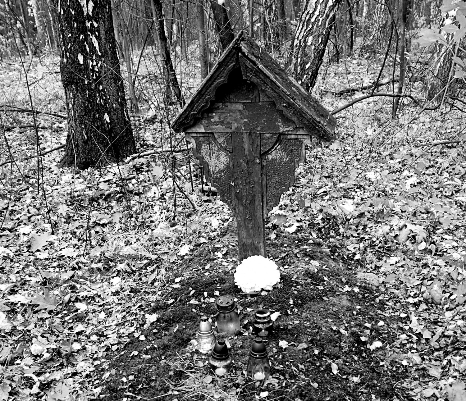 Mogiła w świerklanieckim parku. Fot. Archiwum Mogiła w świerklanieckim parku. Fot. Archiwum