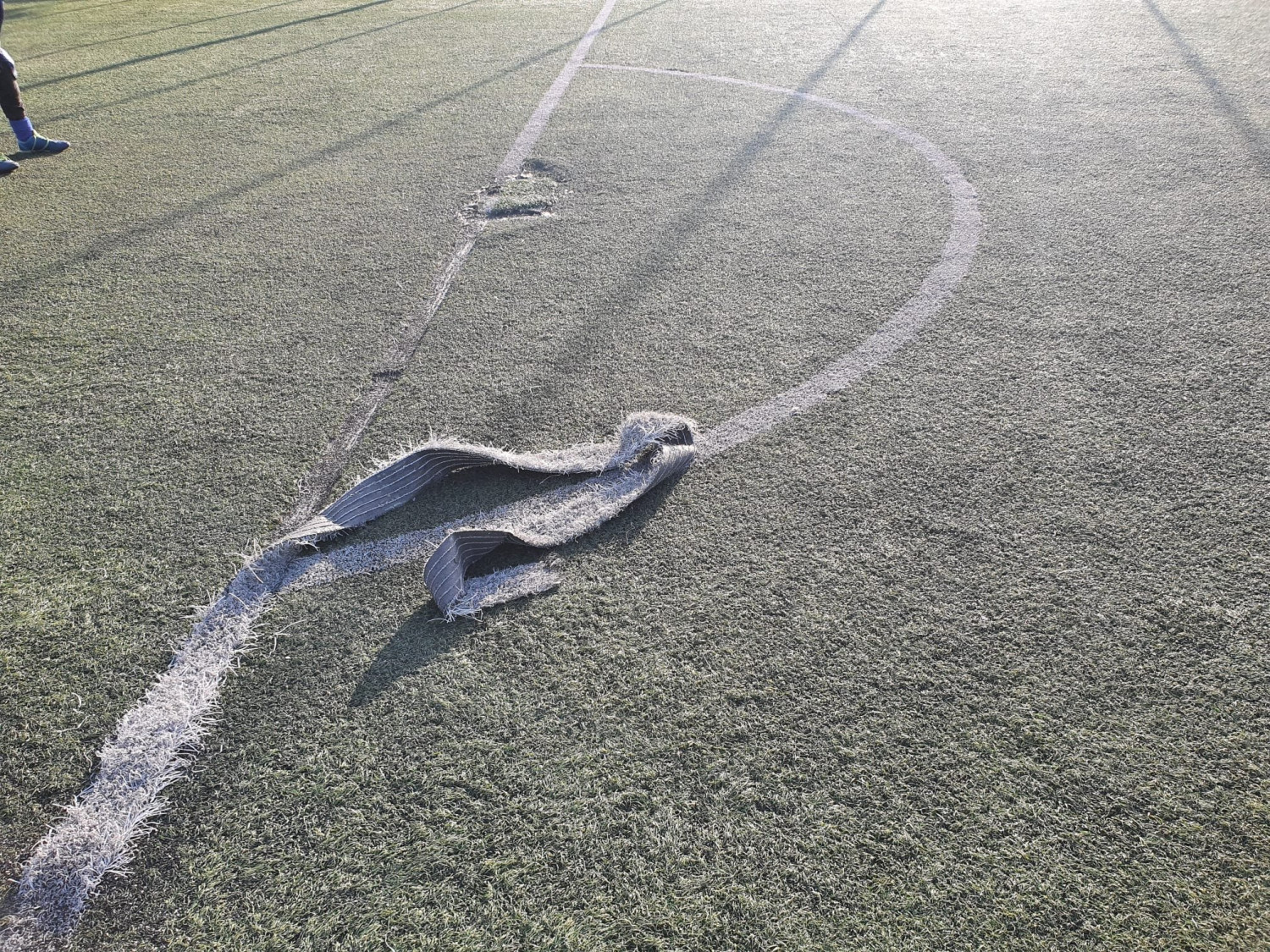 Orlik przy SP 15 w Tarnowskich Górach. Fot. Archiwum czytelnika