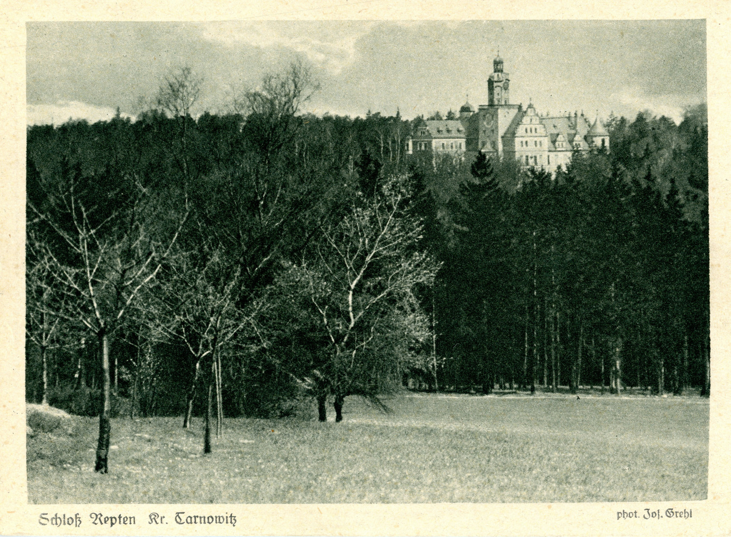 Pałac rodziny Henckel von Donnersmarck w Reptach Śląskich. Pocztówka z początku XX w. Pałac rodziny Henckel von Donnersmarck w Reptach Śląskich. Pocztówka z początku XX w.