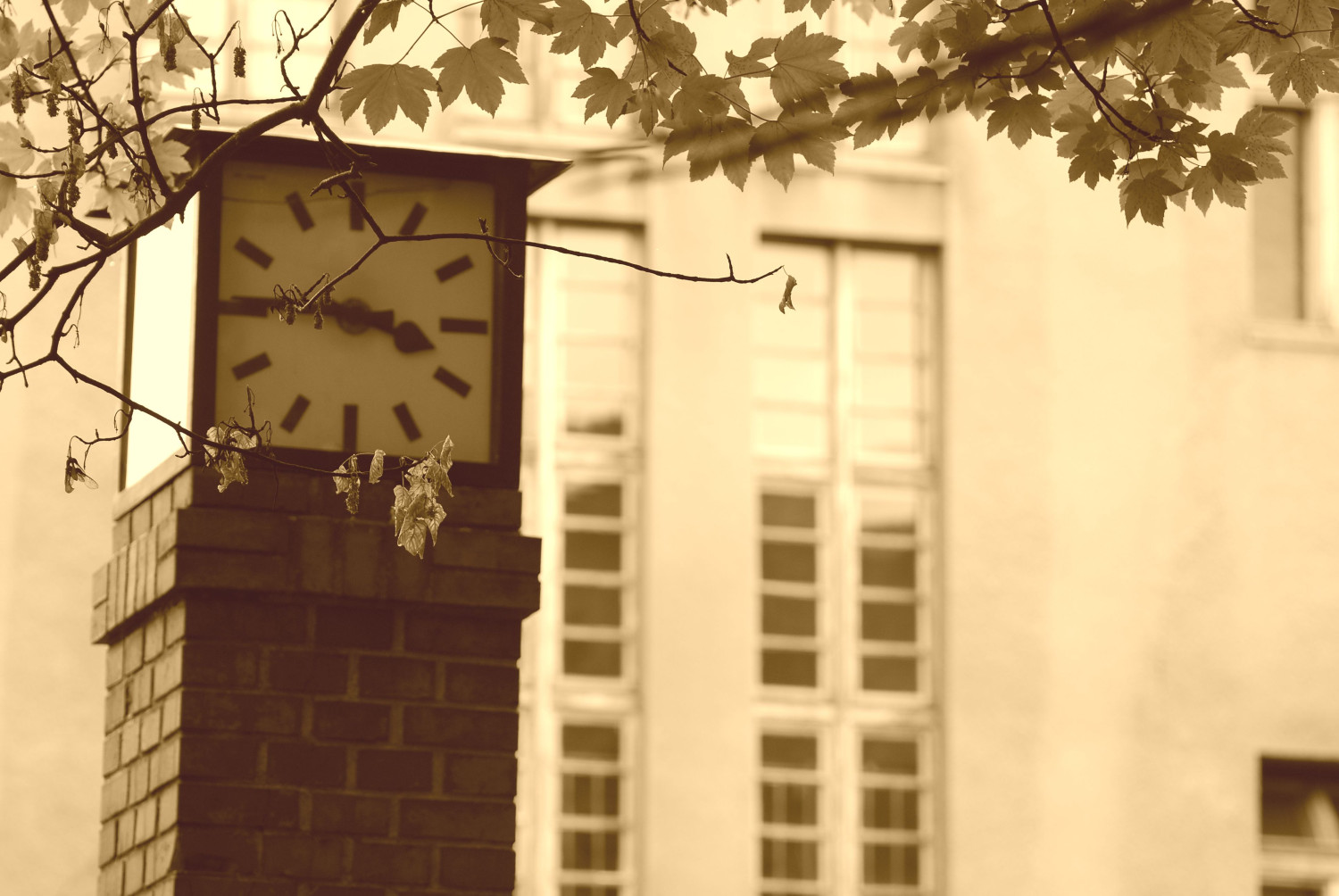 Fot. Jarosław Myśliwski Fot. Jarosław Myśliwski