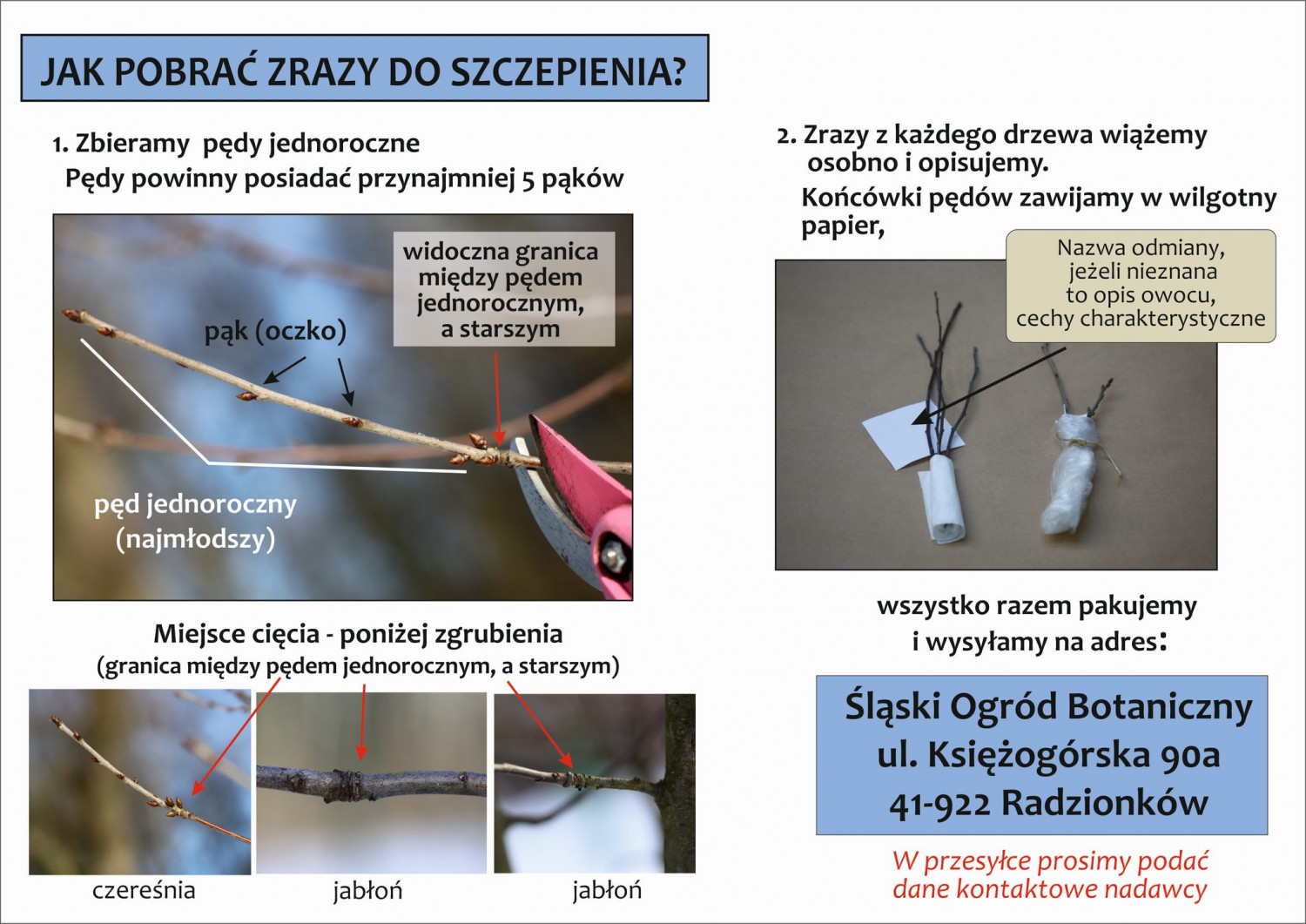 Fot. Archiwum ŚOB Fot. Archiwum ŚOB