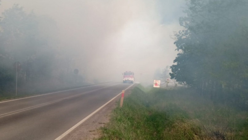 Pożar lasu w Miasteczku Śląskim
